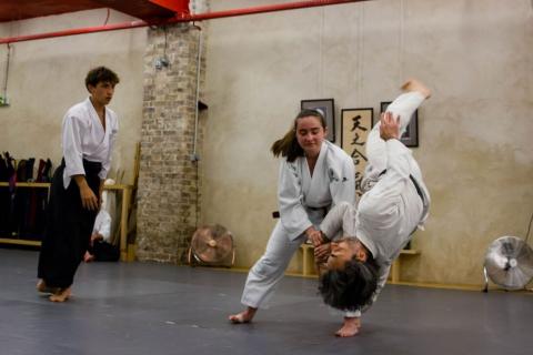 Technique de projection