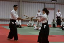 Stage de Yasuhiro Saito Sensei à Fontainebleau en juin 2023 (démonstration)