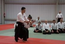 Stage de Yasuhiro Saito Sensei à Fontainebleau en juin 2023 (démonstration)