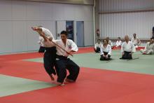 Stage de Yasuhiro Saito Sensei à Fontainebleau en juin 2023 (démonstration)