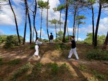 Stage d'été 2023 (pratique du bokken en sous-bois)